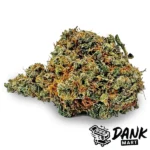 httpsdankmart.cowp-contentuploads202510DM-Blue-Dream-Value-600x600-1.webp