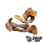 httpsdankmart.cowp-contentuploads202511Makilla-Gorilla-Magic-Mushrooms-dm-600x600-2.jpg