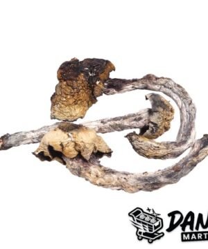 Penis Envy Magic Mushrooms
