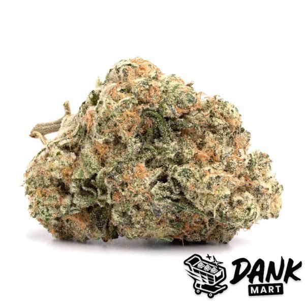 httpsdankmart.cowp-contentuploads202602DM-Acapulco-600x600-1.jpg