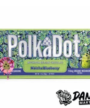 PolkaDot Mushroom Belgian Chocolate (5g) – Matcha Blueberry