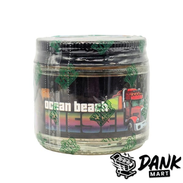 httpsdankmart.cowp-contentuploads202605WME-ocean-beach-DM-600x600-1.jpg