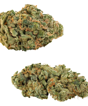 Comboz: Ultra Sour + Tropical Cookies